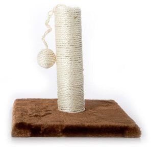 Cat Scratch & Play Post